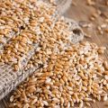Organic Wheat Grain (গমের দানা ) 1Kg. 