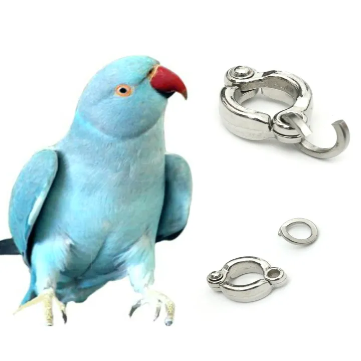 China%20Ring%20-%20Image%202