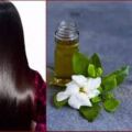 Jasmine oil/chameli tel -100ml(Chemical Free). 