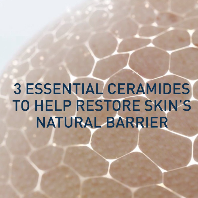 CeraVe%20AM%20Facial%20Moisturizing%20Lotion%20with%20Sunscreen%2089ml%20-%20Image%202