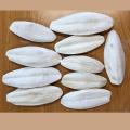 Cuttlefish Bone for Birds Cuttle Fish Bone Cuttle Bone for All Birds -- 500g. 
