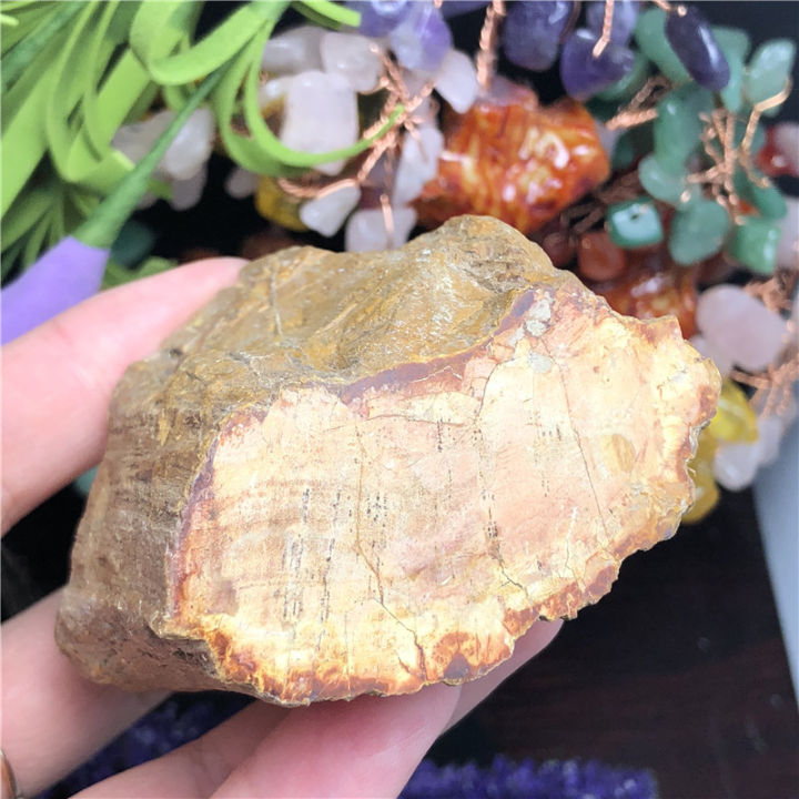 【KAMDSS015】Natural Petrified Wood Fossil Original Stone Raw Quartz Mineral Specimen Healing Reiki Home Decor