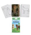 For Kids Animal Flashcard Cards. 