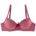 Trufeeling Push Up Lingeries Fashion Bras for Women A B C Cup Bra Underwire Bralette Female Brassiere Underwear.