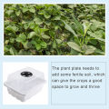 Plastic Seed Starter Tray Greenhouse Seeding Garden Seed Pot Grow Planter Box.