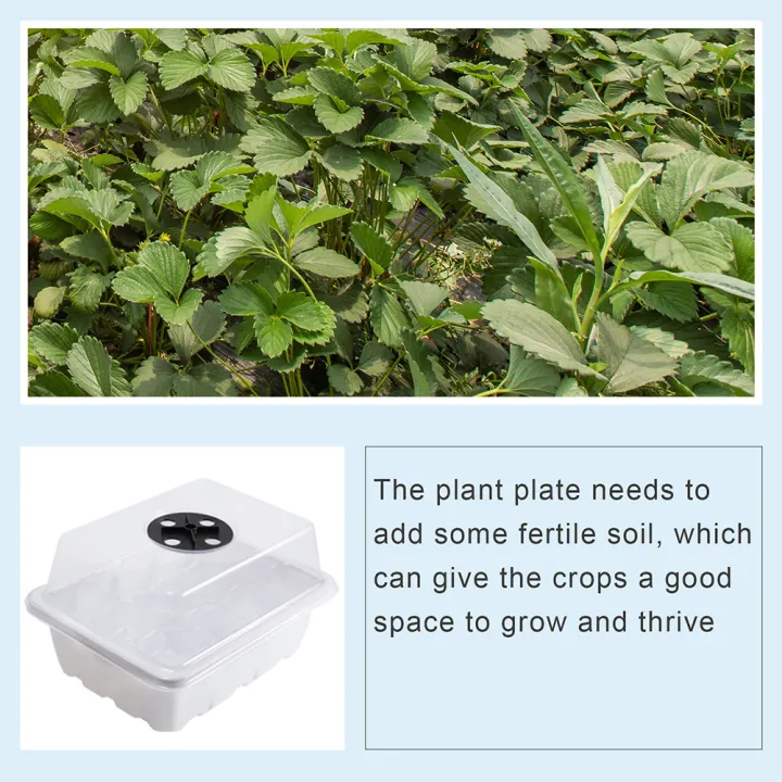 Plastic%20Seed%20Starter%20Tray%20Greenhouse%20Seeding%20Garden%20Seed%20Pot%20Grow%20Planter%20Box%20-%20Image%206