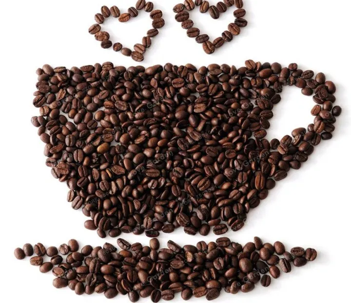 Coffee%20Bean%20Bonsai%20Home-%20grown%20Cocoa%20Bean%20Balcony%20Bonsai%20Tree%20Plant%20%20&%20seeds%20Bonsai%20Coffee%20Cherry%20Bonsai%20Home%20Graden%20Plant%20-%20Image%207