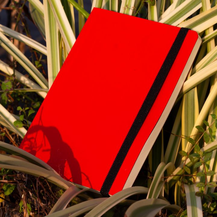 Daily%20Journal%20Red%20Notebook%20with%20Elastic%20Band%20-%20Image%202