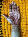 Neeta Natural Organic Henna Mehedi Cones 6 Pis Original Indian. 