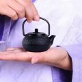 50ml Japanese Style Cast Iron Kettle Teapot Comes + Strainer Tea Pot - Black. 