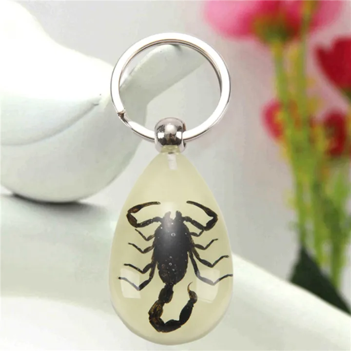 5X%20Glow-In-The-Dark%20Real%20Insect%20Keychain%20()%20-%20Image%205