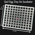 5 pcs 99 Quail Eggs Setter Trays for Birds and Quail Eggs Incubator Setting Tray. 