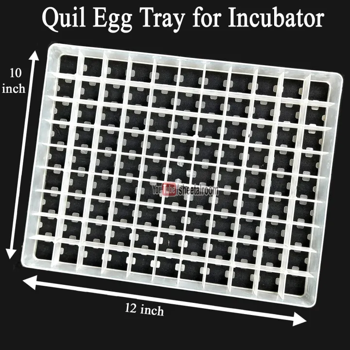 5%20pcs%2099%20Quail%20Eggs%20Setter%20Trays%20for%20Birds%20and%20Quail%20Eggs%20Incubator%20Setting%20Tray%20-%20Image%207