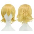 12 Inches Unisex Short Cosplay Hair Party BOB Wigs with Bangs Silver Halloween Costume Wig. 