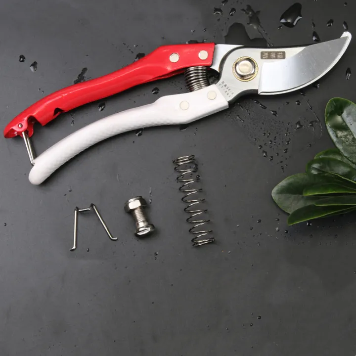 Garden%20Scissor,%20Pruning%20Scissor,%20Rust%20proof%20SS%20Material,%20%20Pruning%20Shears%20for%20Plants%20,%20Smooth%20Brunch%20Cutter%20for%20your%20Garden.%20-%20Image%202