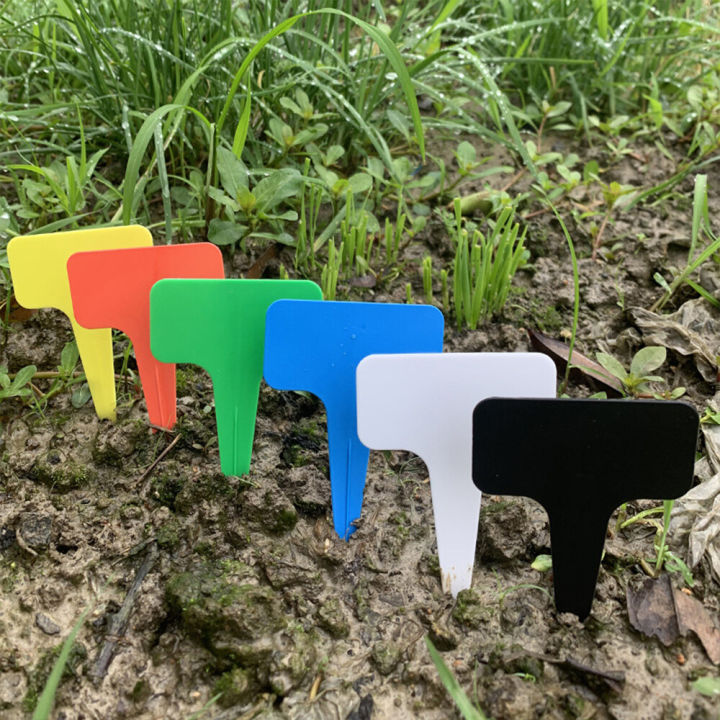 100PCS%20garden%20classification%20label%20Plastic%20writing%20board%20T-type%20waterproof%20flower%20label%20-%20Image%204