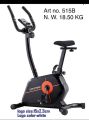 Magnetic Regular Exercise Cycle.