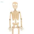 Novelty Science Toy Durable Projects 3D Puzzle for Boy Girls Kids Preschool.