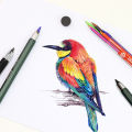 【LuckyBabyFans Store】（NEW）summerflowers 5.6mm Professional Art Automatic Pencil with Colorful Lead Set 4B Pencil Lead for Mechanical Pencil Sketch Drawing Pencil Art Supplies. 