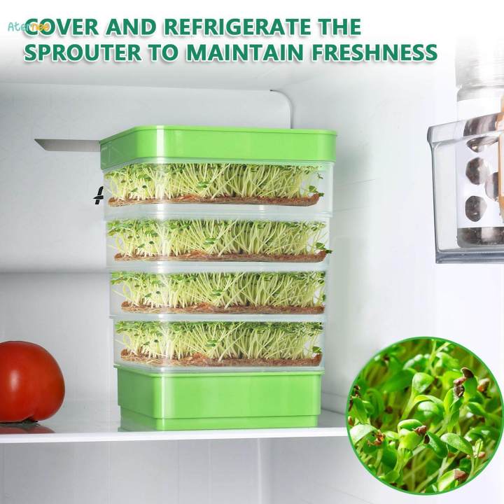 Seed%20Sprouting%20Kits%20Seedling%20Starter%20Tray%20with%20Lid%20Versatile%20Germinate%20Seeds%20Indoors%20Grower%20for%20-%20Image%205