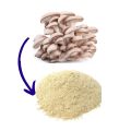 Oyester Dry Mushroom Mushroom Powder 50gm Oyester Dry Mushroom Dried Oyster Mushrooms Powder Dried Oyster Mushrooms, Organic Sliced Mushroom. 