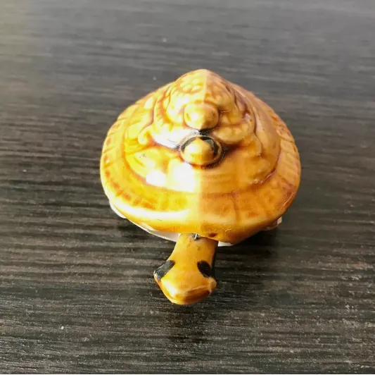 Decorative%20Ceramic%20Tortoise%20Showpice,%20Aquarium%20and%20Home%20Decor%20Ceramic%20Turtle%20Toy%20-%20Image%202