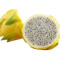 15+ Pc Yellow Pitaya Dragon Fruit Tree Plant Seeds. 