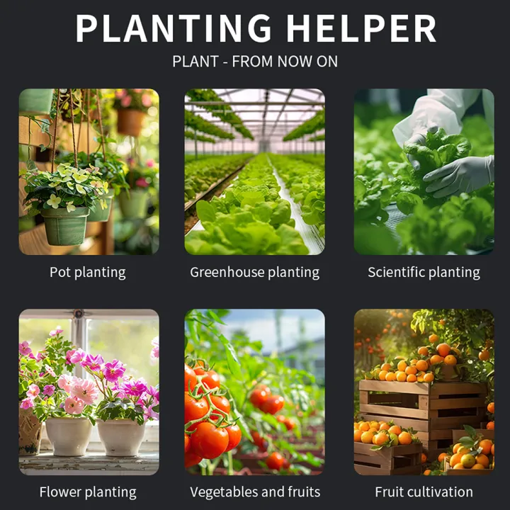 6in1%20LCD%20Digital%20Moisture%20Meter%20Soil%20Moisture%20Sensor%20PH%20/Temperature%20/Sunlight%20/Fertility%20Testers%20Garden%20Planting%20Soil%20Detector%20-%20Image%202