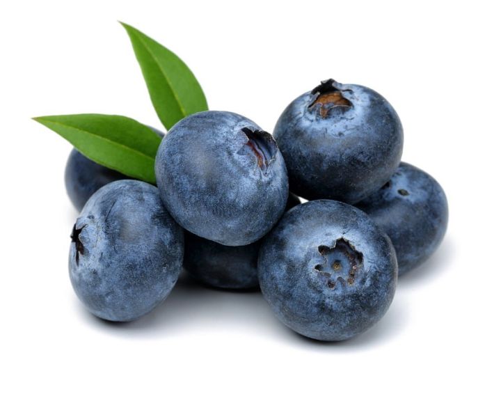Blueberry%20Fruit%20Seeds%20-%2050%20Pieces%20+gift%20(%20best%20quality%20seeds%20and%2099%25%20germination%20rate)%20-%20Image%203