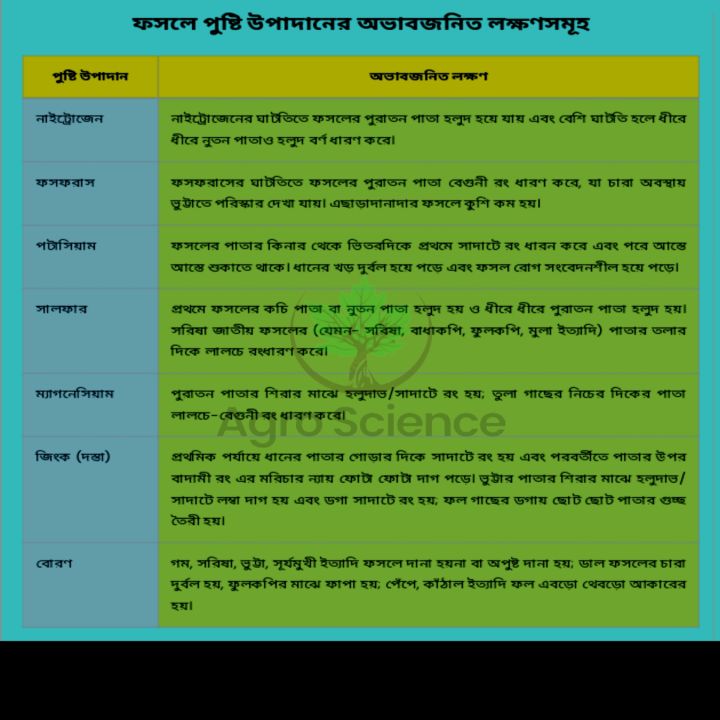 Fertilizer%20:%20MOP%20(%20Mureate%20of%20Potash%20)%20500%20gm%20Group%20:%20Potassium%2050%25%20-%20Image%204