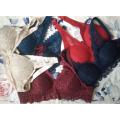 Elegant Lace Push-Up Bras Comfortable Daily Wear for Women. 
