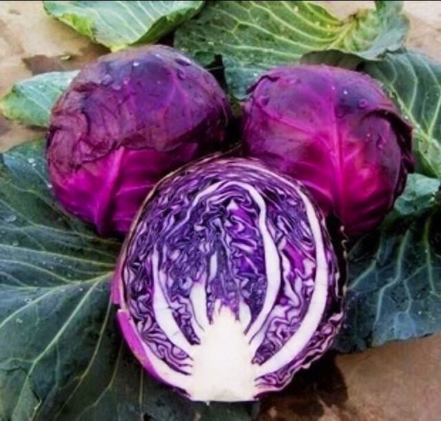 Purple%20cabbage%20seeds,%20Mid-early%20maturity%20-%20100%20seeds%20-%20Image%202