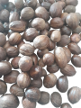 Nutmeg joyfol জয়ফল - (100 gram). 