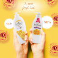 Enchanteur Perfumed Body Lotion 500ml Charming Visibly Radiant Skin with Aloe Vera & Olive Butter, Vitamin A,C,E & Niacinamide | Malaysia. 
