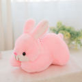 【Popular Categories】 Factory Machine Bunny Doll Children's Plush Pillow Birthday Gift Wedding Gift.