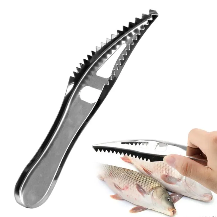 Stainless%20Steel%20Fish%20Scale%20Remover%20Multifunction%20Fish%20Scaler%20Fish%20Skin%20Graters%20Cleaning%20Peeler%20Scaler%20Scraper%20For%20Kitchen%20Gadget%20-%20Image%207