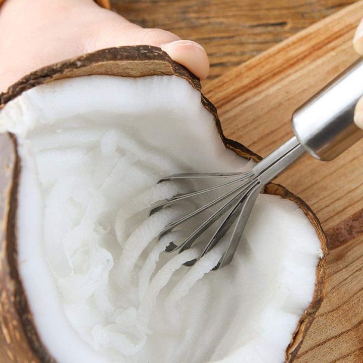 Stainless%20Steel%20Coconut%20Meat%20Removal%20/%20Coconut%20Meat%20Grater%20Slicer%20Fish%20Scale%20Planning%20-%20Image%203