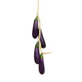 Artificial Fruit Foam Vegetable Corn Pepper Garlic Hanging Photo Prop Home Decor.