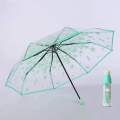 Transparent Flower Print  Ladies Folding Umbrella /Transparent Umbrella For Women. 