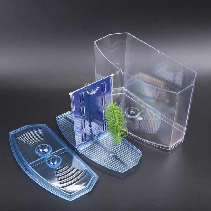 Betta%20House%20Double%20(Betta%20Fish%20Aquarium)%20-%20Image%203