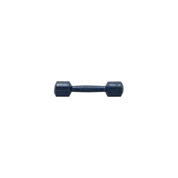 4 Kg Dumbbell - Blue