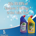 5L Organic DS Acid Free Toilet Cleaner (Lemon Flavor). 