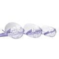 Kitten Cat Grooming Pet Mouth Cover Cat Recovery Anti-Bark Anti-Bite Cat Mask Cat Muzzle Transparent.