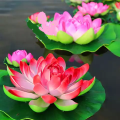 Lotus Water Lily Pool Floating Lotus Leaf Flowers Home 1 Pcs. 