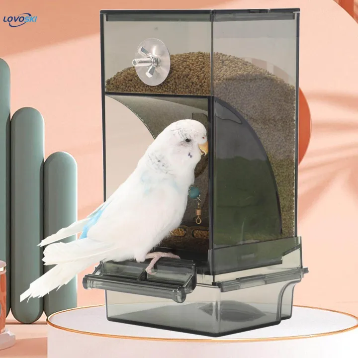 Bird%20Feeder%20Sturdy%20Clear%20Food%20Container%20for%20Canary%20Cockatiel%20Budgies%20transparent%20-%20Image%203