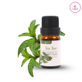 Cosprof Tea Tree Essential Oil for Aromatherapy 10 Ml. 