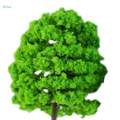 50Pcs Simulation 1:100 Miniature Tree for Fairy Garden Decor Diorama Layout. 