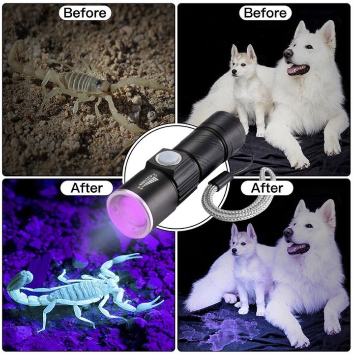 %E3%80%90Must-Have%20Gadgets%E3%80%91%20395nm%20UV%20light%20flahlight%20Blacklight%20UB%20rechargeable%20LED%20flahlight%20-%20Image%205