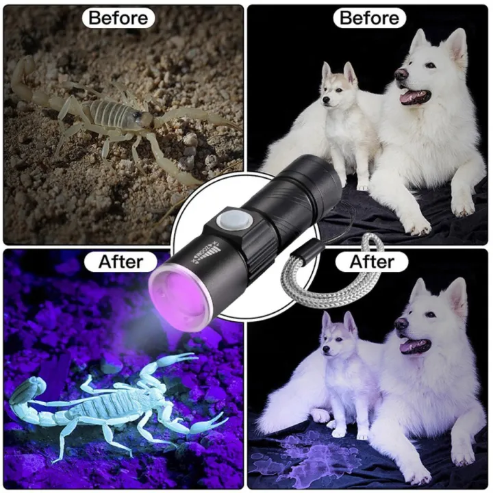 %E3%80%90Must-Have%20Gadgets%E3%80%91%20395nm%20UV%20light%20flahlight%20Blacklight%20UB%20rechargeable%20LED%20flahlight%20-%20Image%205