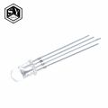 【Daily Necessities For Anyone Store】Great IT 5mm RGB LED Common Tri-Color Diodes f5 RGB Diffused. 